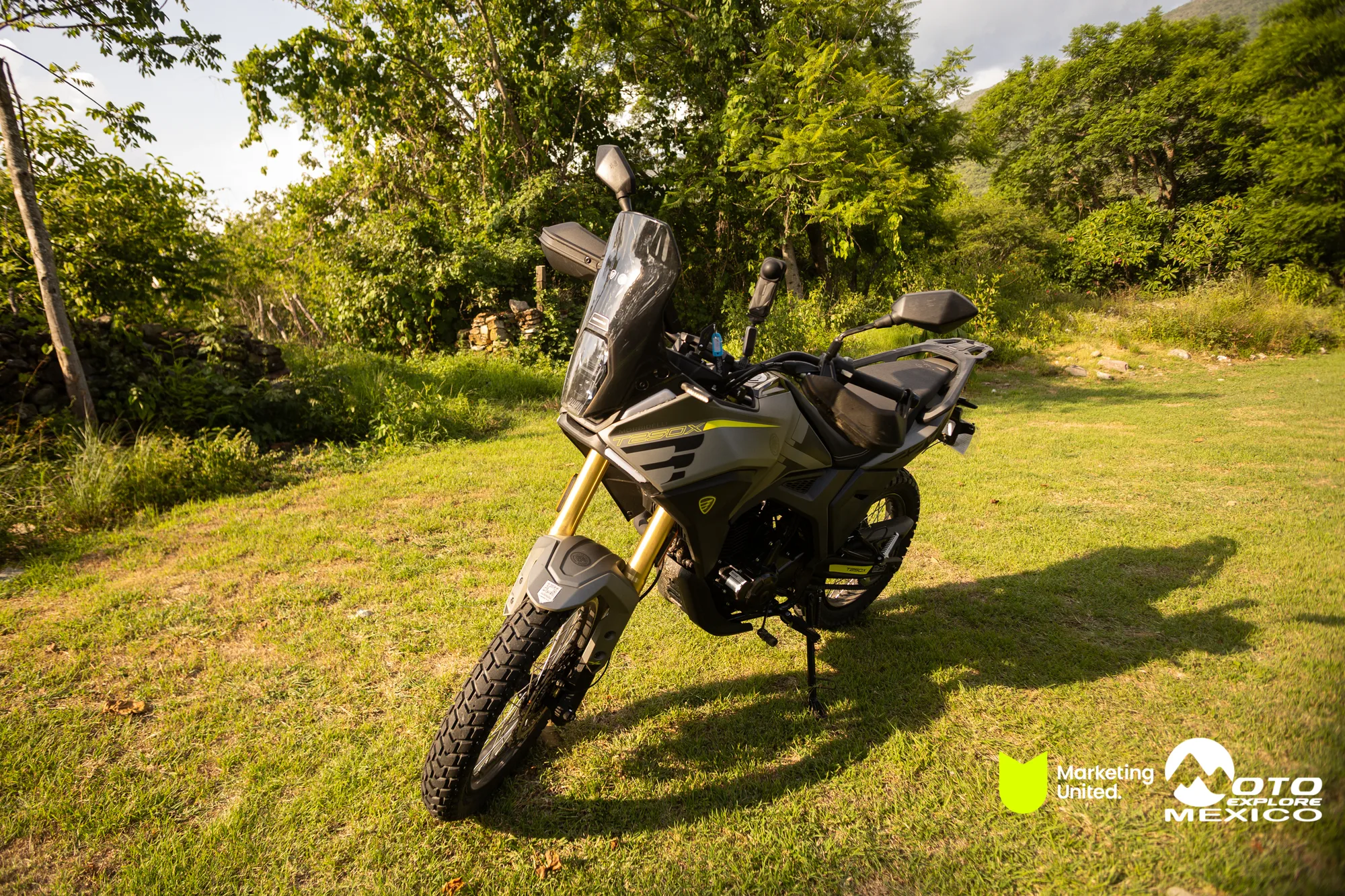 BENELLI TAXCO 1298