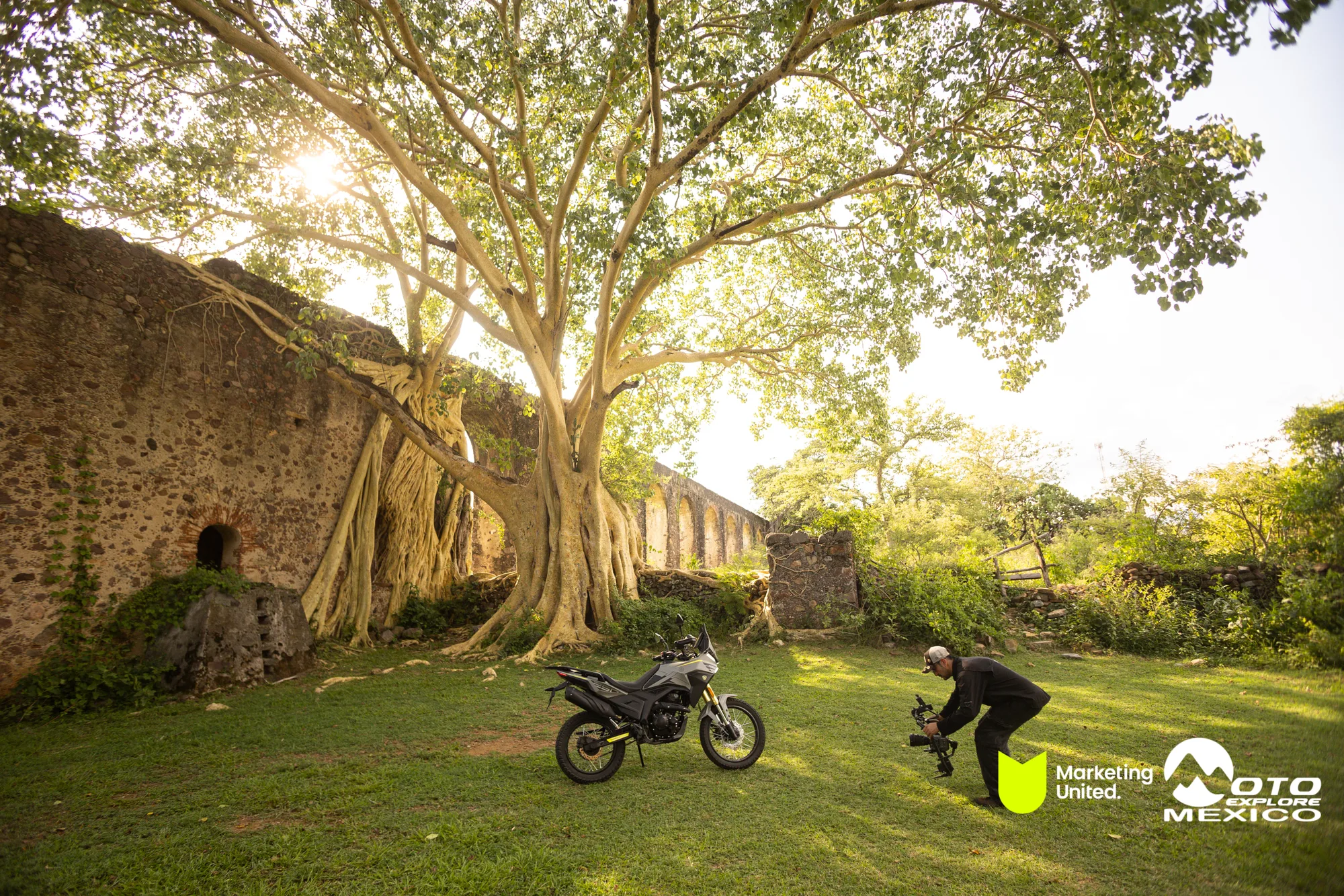 BENELLI TAXCO 1300