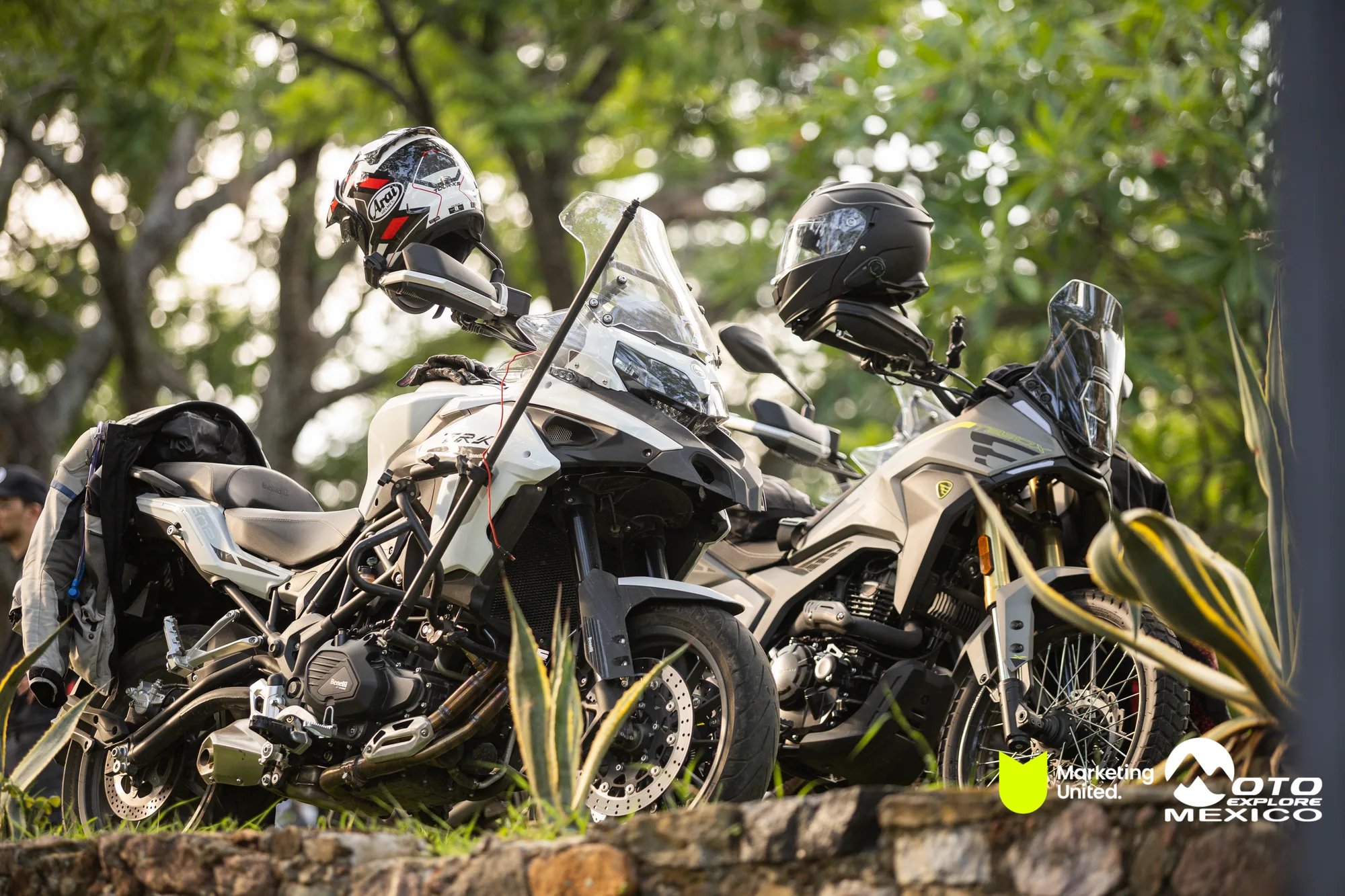 BENELLI TAXCO 1317