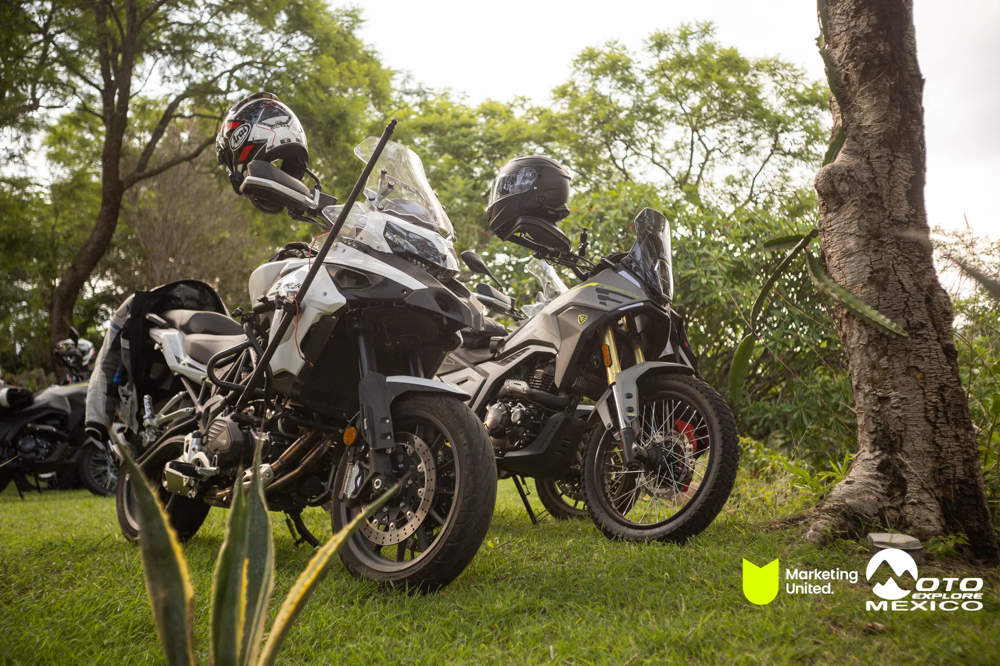 BENELLI TAXCO 1318