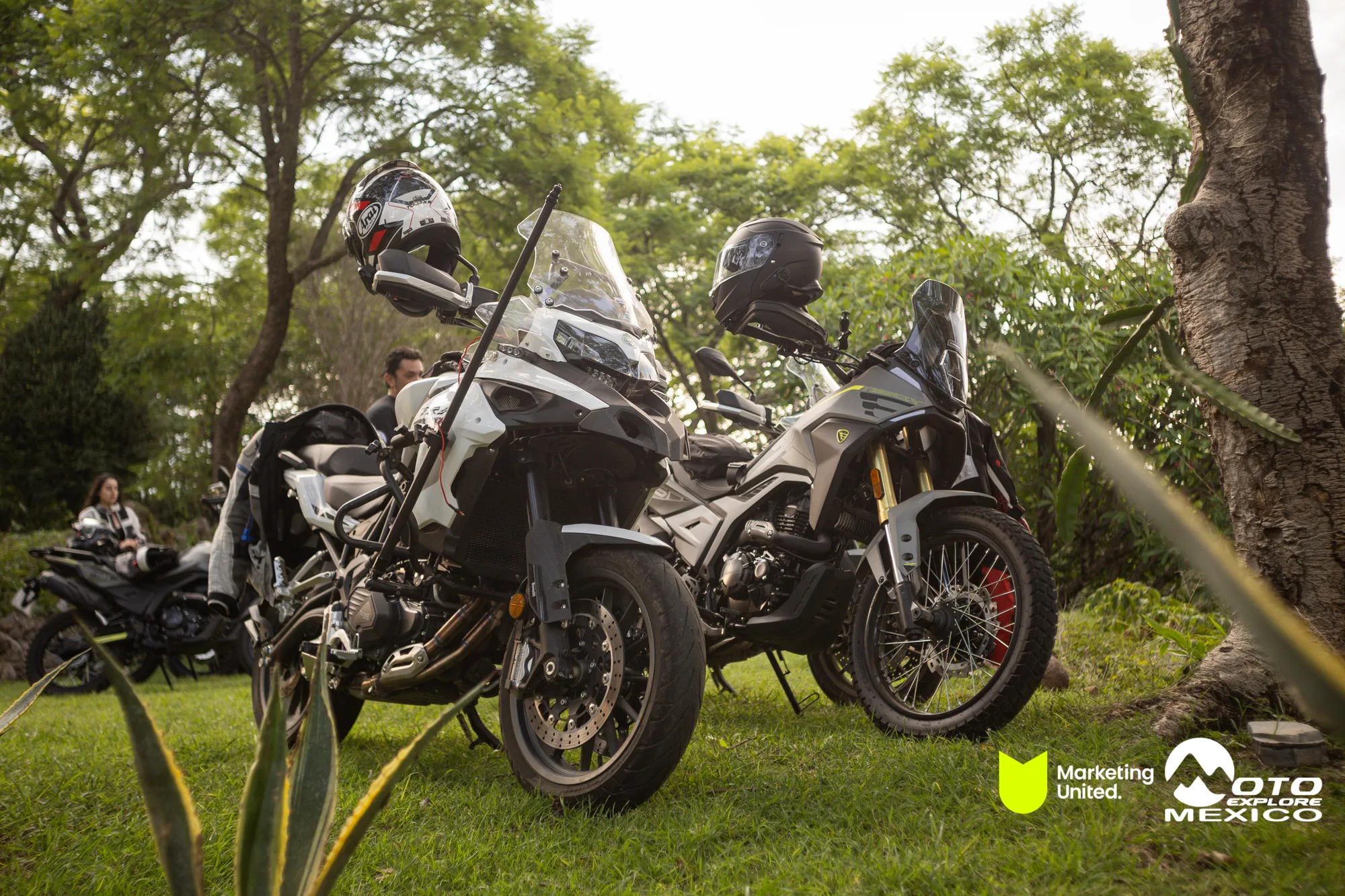 BENELLI TAXCO 1319